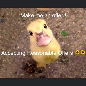 Accepting All Reasonable Offers!